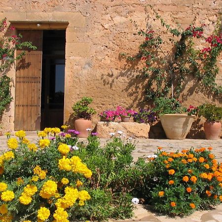 Finca Sa Cova Vella 马纳科尔 外观 照片