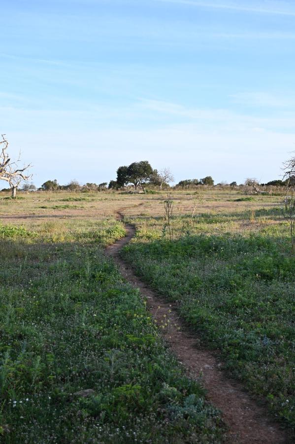 Finca Sa Cova Vella 马纳科尔 外观 照片