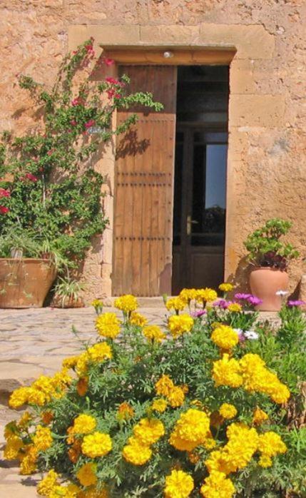 Finca Sa Cova Vella 马纳科尔 外观 照片