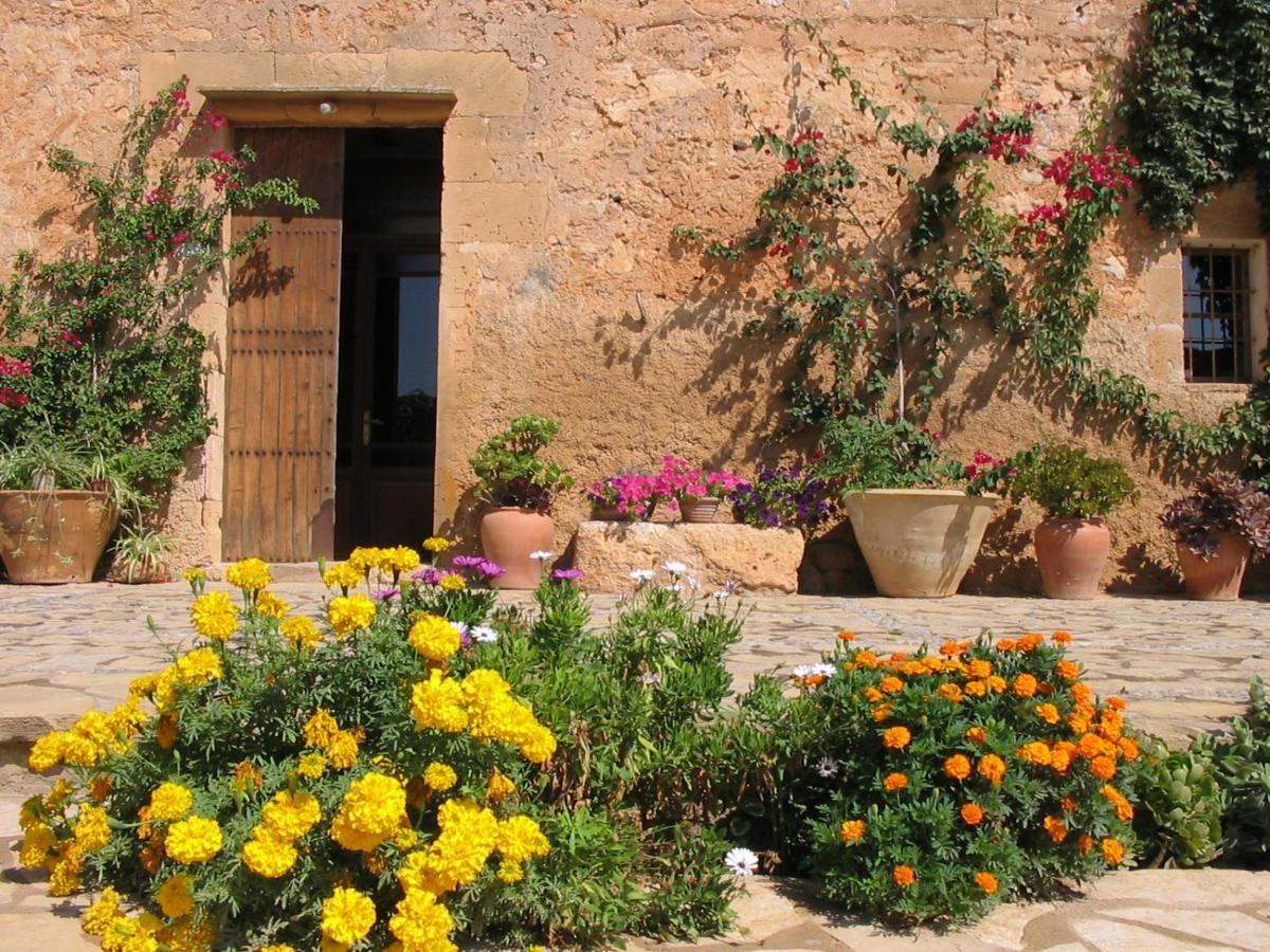 Finca Sa Cova Vella 马纳科尔 外观 照片