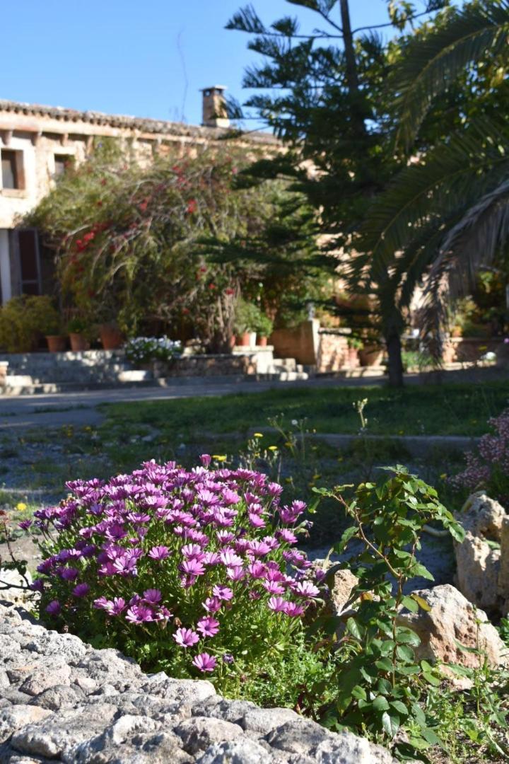 Finca Sa Cova Vella 马纳科尔 外观 照片
