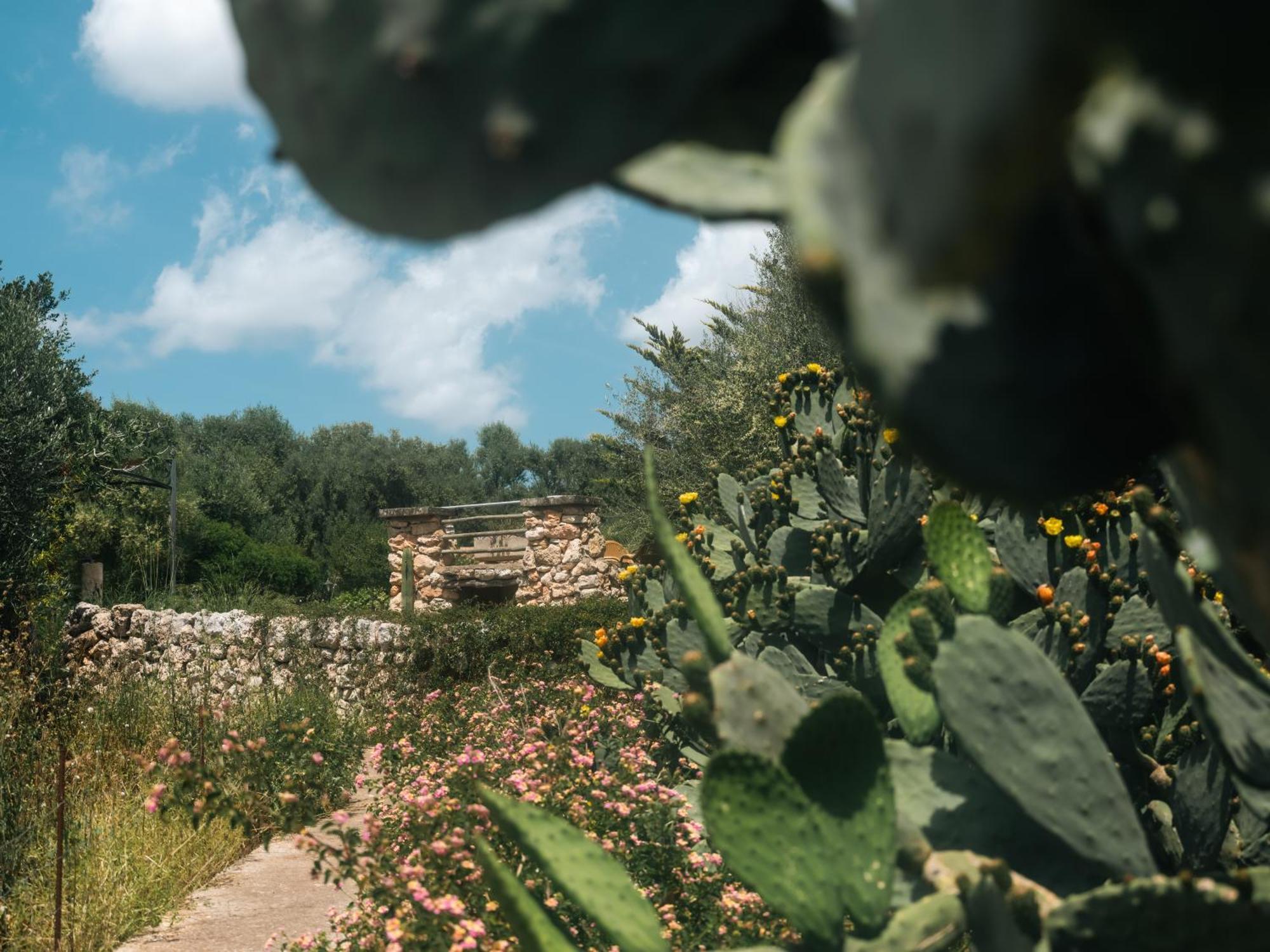 Finca Sa Cova Vella 马纳科尔 外观 照片