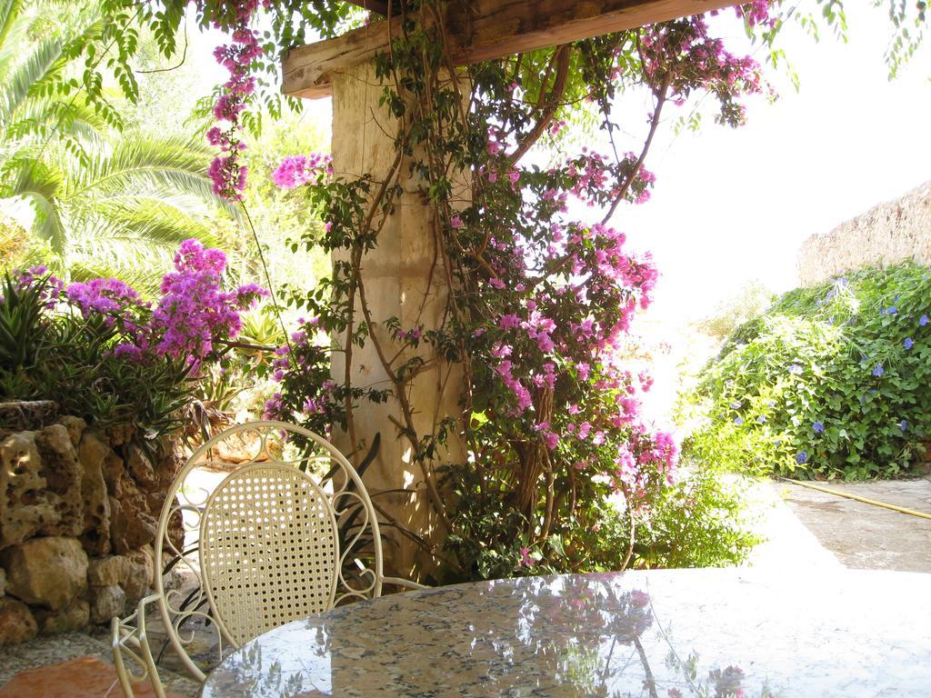Finca Sa Cova Vella 马纳科尔 外观 照片